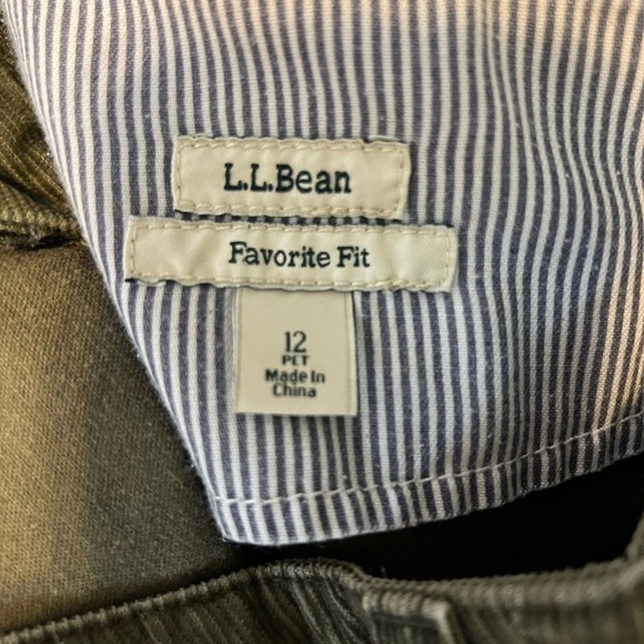 LL Bean Corduroy Favorite Fit Skirt Size 12 Petite - Picture 3 of 3